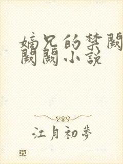 嫡兄的禁阙 华阙阙小说封面