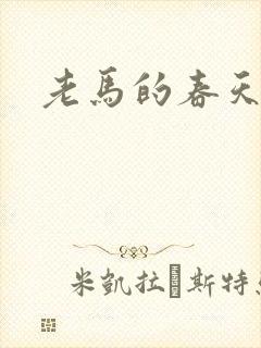 老马的春天