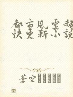 都市风云超前超快更新小说封面