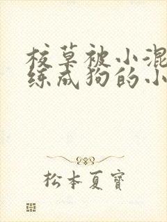 校草被小混混训练成狗的小说