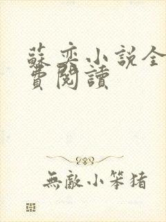 苏奕小说全文免费阅读