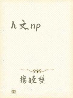 h文np封面