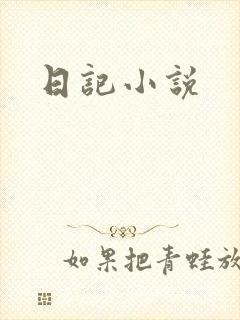 日记小说封面