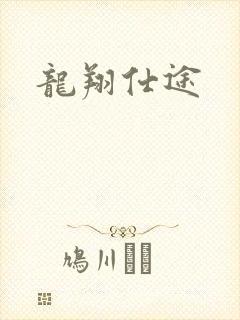 龙翔仕途