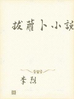 拔萝卜小说封面