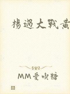 杨过大战黄蓉