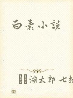 白素小说封面