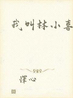 我叫林小喜17