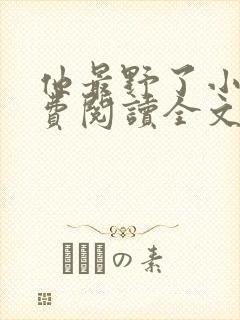他最野了小说免费阅读全文