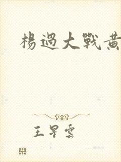 杨过大战黄蓉