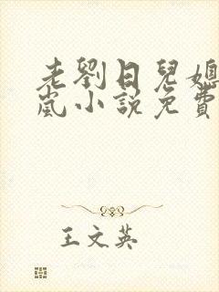 老刘日儿媳妇张岚小说免费阅读