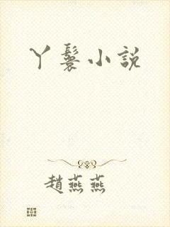 丫鬟小说