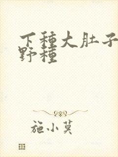 下种大肚子怀孕野种