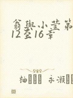 翁与小莹第十部12至16章封面