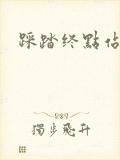 踩踏终点站
