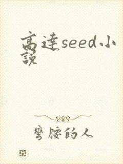 高达seed小说