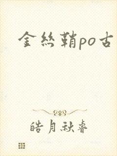 金丝鞘po古言