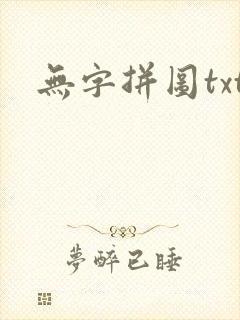无字拼图txt封面