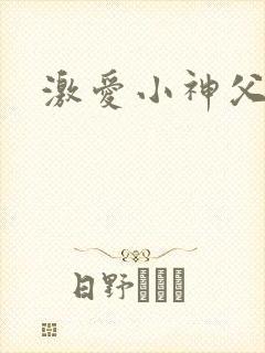 激爱小神父