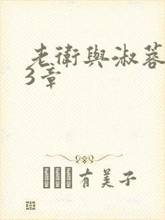 老卫与淑蓉第13章