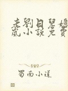 老刘日儿媳妇张岚小说免费阅读