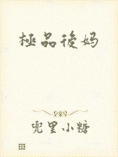 极品后妈封面
