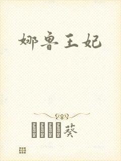 娜鲁王妃封面