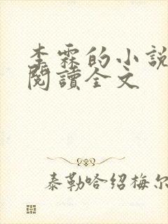 李霖的小说免费阅读全文