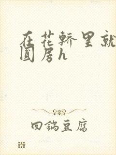 在花轿里就开始圆房h