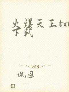 火爆天王txt下载