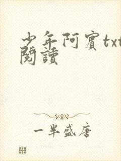 少年阿宾txt阅读