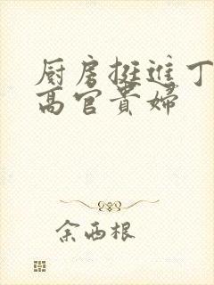 厨房挺进丁字裤高官贵妇封面