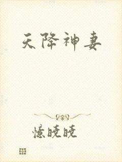 天降神妻封面