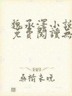 魏承泽小说全文免费阅读无弹窗笔趣