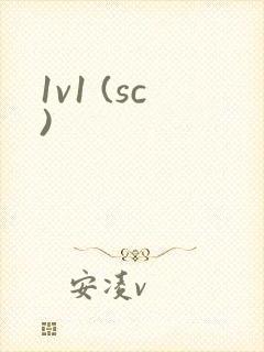 1v1 (sc)封面