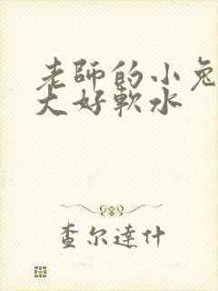 老师的小兔子好大好软水