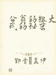 公翁的粗大放进我的秘密