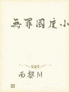 无罪国度小说
