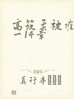 高筱柔被催眠1一14章