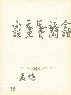 小天风流全集小说免费阅读