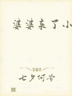 婆婆来了小说