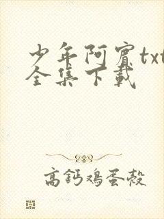 少年阿宾txt全集下载