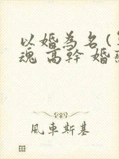 以婚为名 (军魂 高干 婚恋)