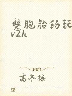 双胞胎的玩具1v2h封面