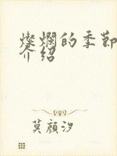 灿烂的季节剧情介绍