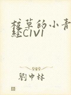 校草的小青梅不经C1V1封面