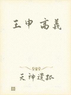 王申 高义