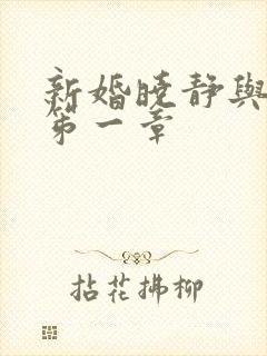 新婚晓静与翁公笫一章
