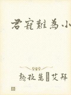 君宠难为小说