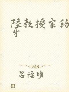陆教授家的小月牙